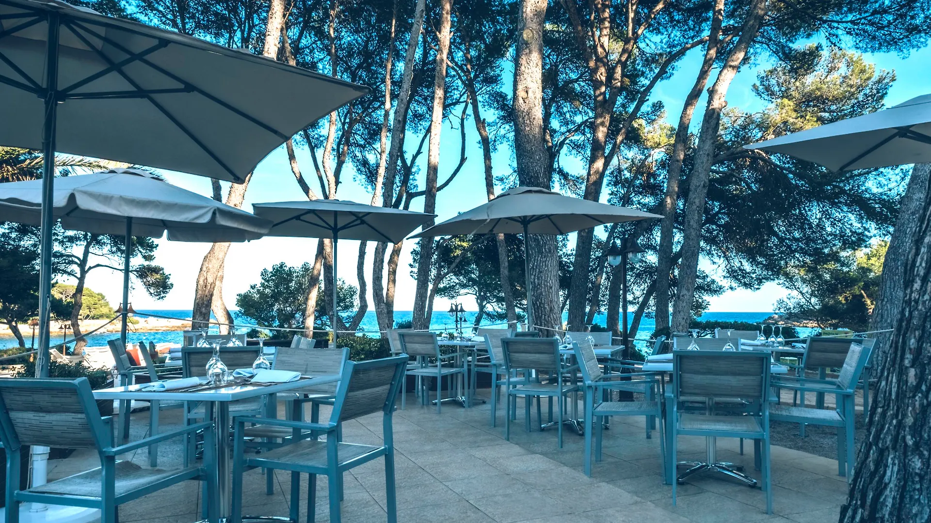 Iberostar Waves Pinos Park Hotel Font de sa Cala
